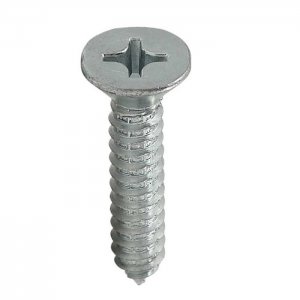 Auto Atarraxante Phillips Chata 4.2 X 25 A�o Carbono Zincado Branco