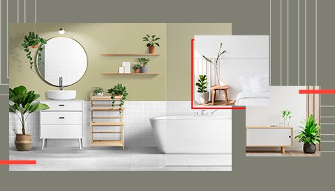 </b>Decora��o:  <b> plantas dentro de casa
