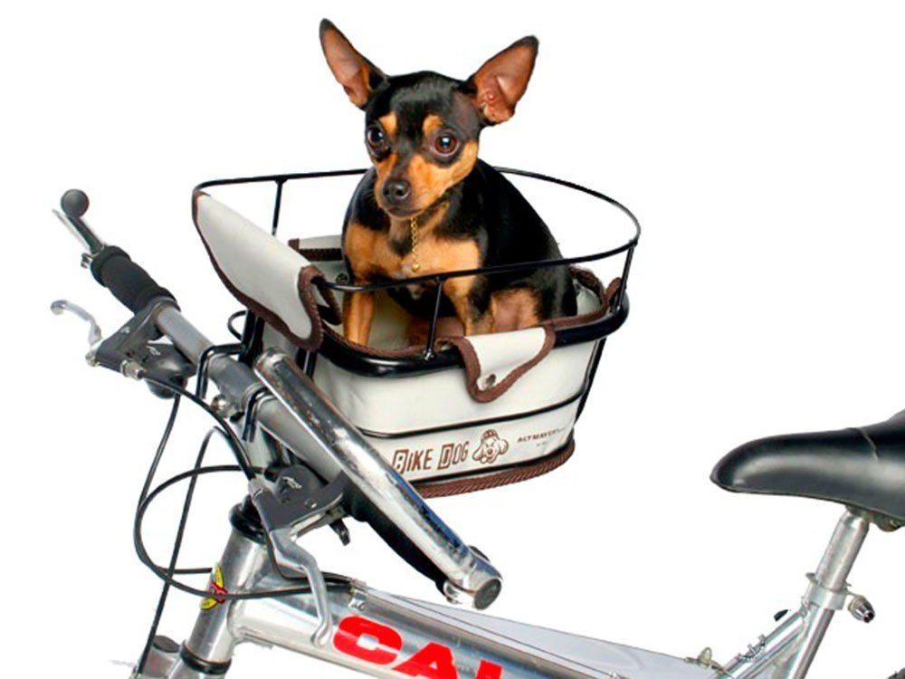 Altmayer bike dog Clearance